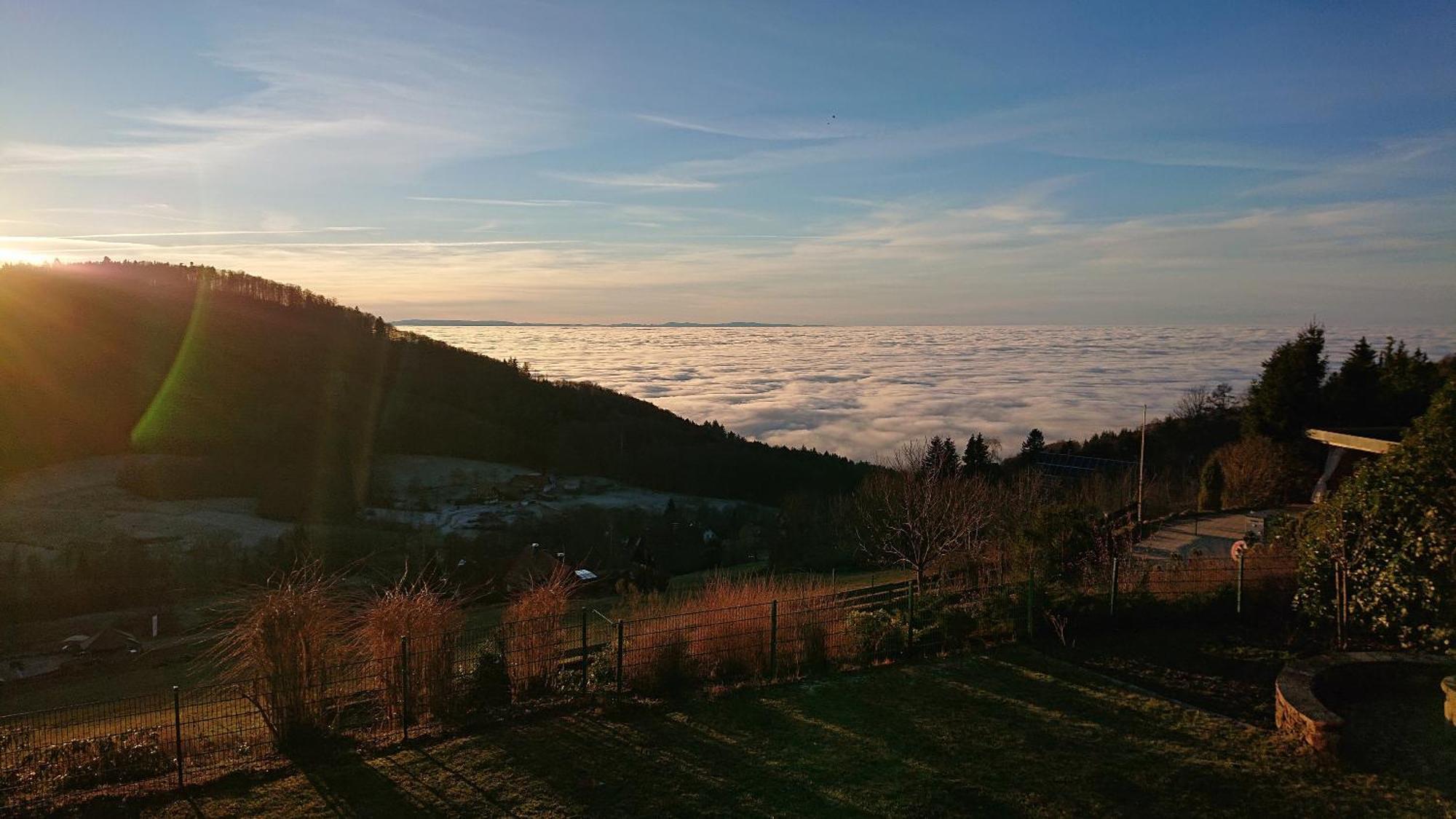 Villa Haus Talblick Sasbachwalden Esterno foto
